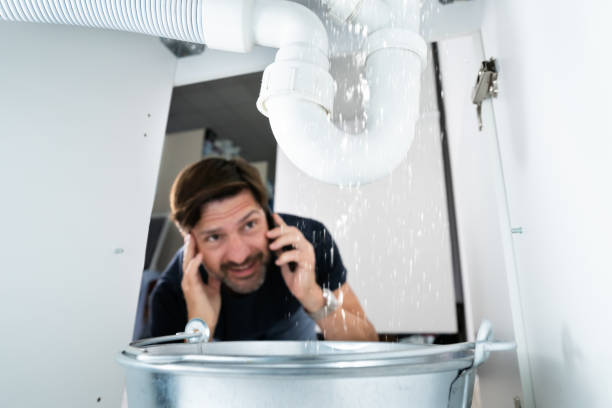 Best Clogged Drain Plumber  in Au Sable, MI